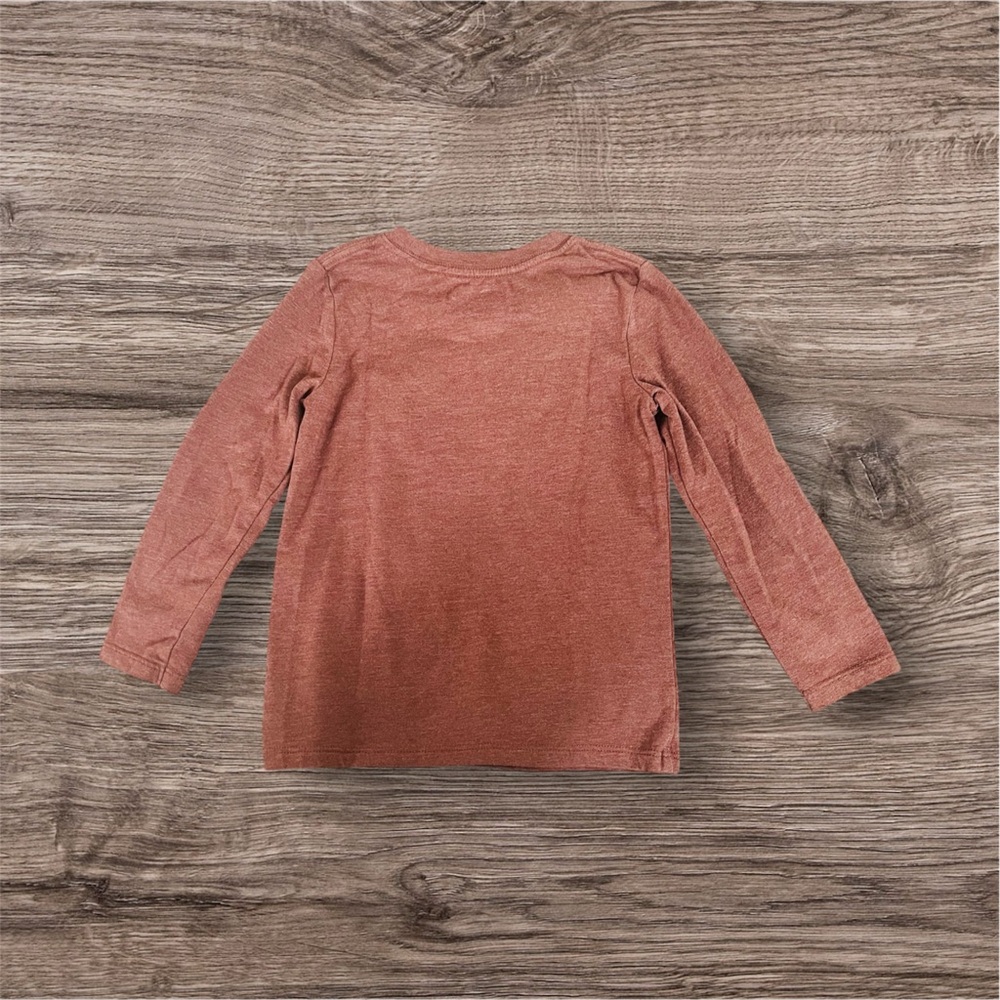 Kids 5 Graphic Long Sleeve Tees & 1 Short Sleeve Graphic Hoodie | 4T | Preowned - Picture 9 of 15